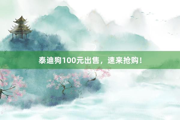 泰迪狗100元出售，速来抢购！