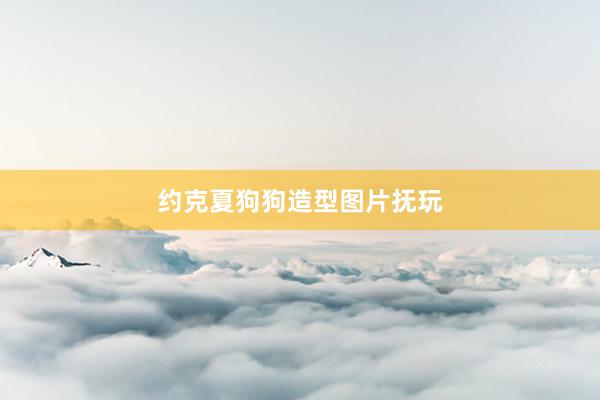 约克夏狗狗造型图片抚玩