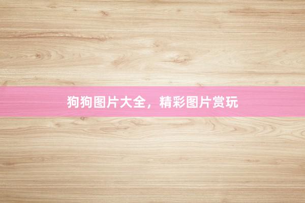 狗狗图片大全，精彩图片赏玩